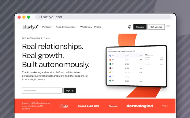 Klaviyo website preview