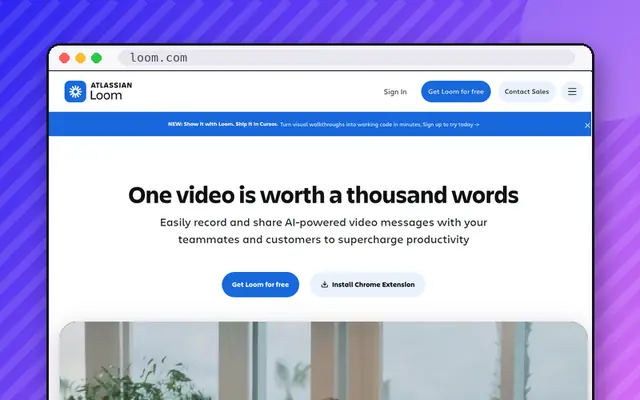 Loom website preview