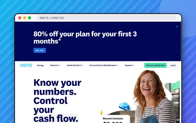 Xero website preview
